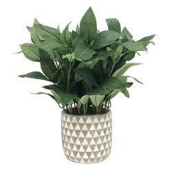 Sonoma Goods For Life® Sonoma Faux House Plant