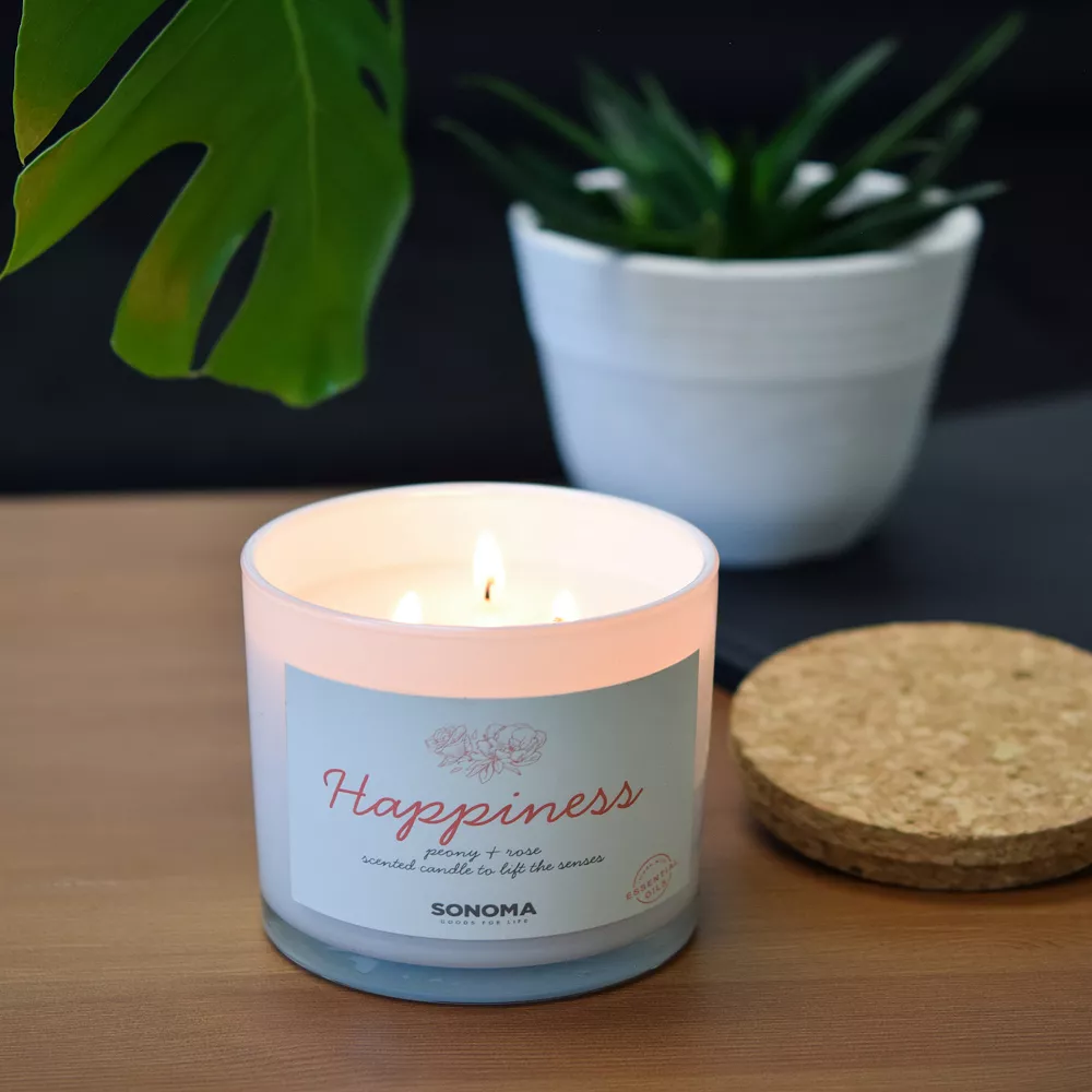 Sonoma Goods For Life® Spa Happiness 3-Wick Candle Jar 2 Sonoma Goods For Life® Spa Happiness 3-Wick Candle Jar - Image 2