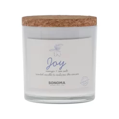 Sonoma Goods For Life® Spa Joy 3-Wick Candle Jar