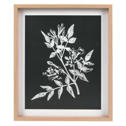 Sonoma Goods For Life® Printed Wood Frame Reverse Botanical Wall Decor