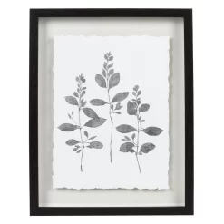 Sonoma Goods For Life® Botanical Shadowbox Framed Wall Art