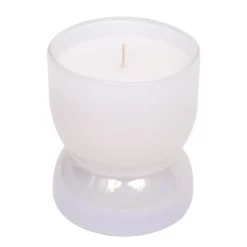 Sonoma Goods For Life® 12-oz. Blue Citron Candle Jar