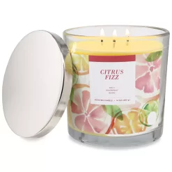 Sonoma Goods For Life® Citrus Fizz 14-oz. Candle Jar