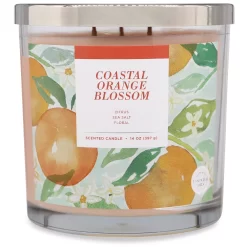 Sonoma Goods For Life® Coastal Orange Blossom 14-oz. Candle Jar 5 Sonoma Goods For Life® Coastal Orange Blossom 14-oz. Candle Jar -Sonoma Goods For Life Home 5877290 ALT2