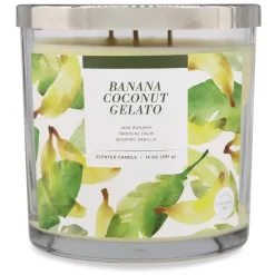 Sonoma Goods For Life® Banana Coconut Gelato 14-oz. Candle Jar -Sonoma Goods For Life Home 5877301 ALT2
