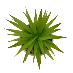 Sonoma Goods For Life® I Run This Rodeo Artificial Potted Plant Table Decor -Sonoma Goods For Life Home 5896121 ALT2