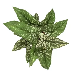 Sonoma Goods For Life® Greenery In Terracotta Pot -Sonoma Goods For Life Home 5897083 ALT2