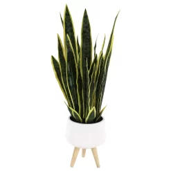 Sonoma Goods For Life® Faux Snake Plant In Midcentry Modern Pot