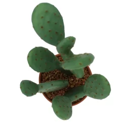 Sonoma Goods For Life® Prickly Pear Cactus In Terracotta Pot -Sonoma Goods For Life Home 5902775 ALT2