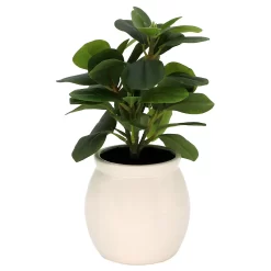 Sonoma Goods For Life® Artificial Greenery In Ceramic Jar