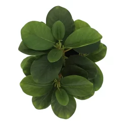 Sonoma Goods For Life® Artificial Greenery In Ceramic Jar -Sonoma Goods For Life Home 5902872 ALT2