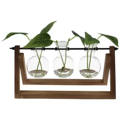 Sonoma Goods For Life® Faux Botanicals In Glass Bottles Table Decor