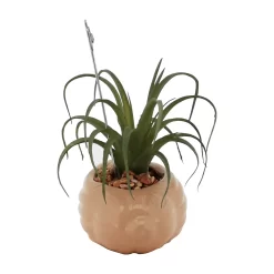 Sonoma Goods For Life® Air Plant Artificial Greenery Photo Clip -Sonoma Goods For Life Home 5903702 ALT4