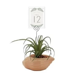Sonoma Goods For Life® Air Plant Artificial Greenery Photo Clip -Sonoma Goods For Life Home 5903702 ALT5