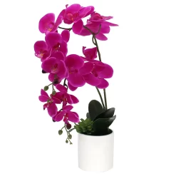 Sonoma Goods For Life® Artificial Fuschia Orchid Plant Table Decor