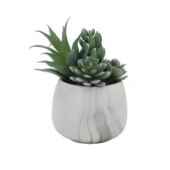 Sonoma Goods For Life® Artificial Succulent Plant Table Decor