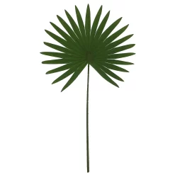 Sonoma Goods For Life® Artificial Palm Stem Table Decor
