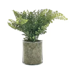 Sonoma Goods For Life® Artificial Fern In Glass Pot -Sonoma Goods For Life Home 5904746 ALT3